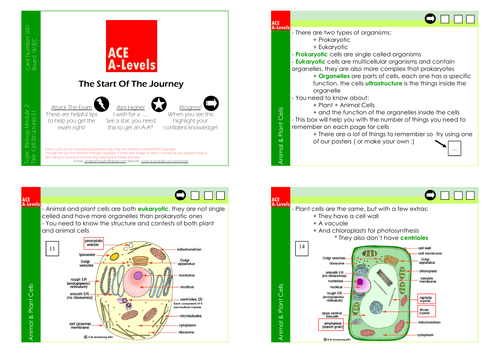 A Level Biology I Complete Revision | Teaching Resources