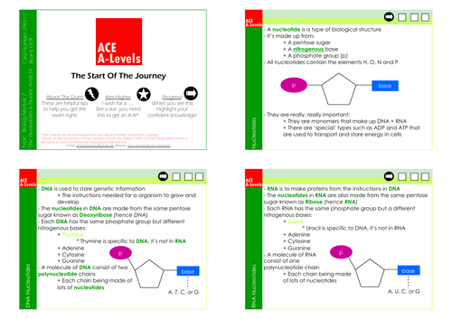 A Level Biology I Section 3 Nucleotides & Nucleic Acids Revision Cards