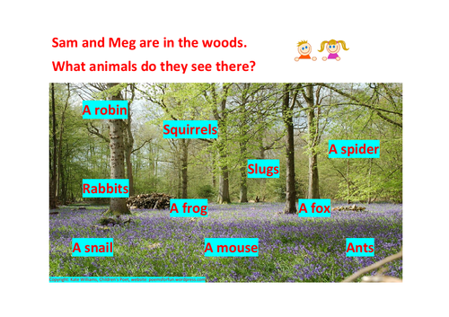 Yr 1 Phonics - Woodland Animals Reading Challenge