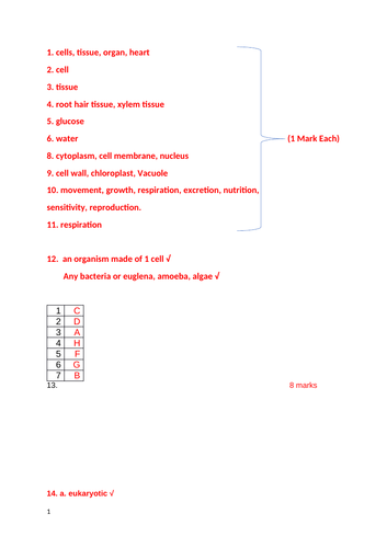 docx, 27.67 KB