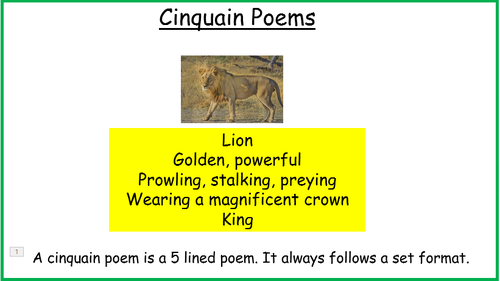 cinquain poems about animals