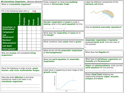 Exploring Science 8D Revision Worksheet- Unicellular Organisms ...