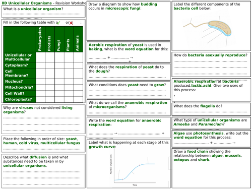 Exploring Science 8D Revision Worksheet- Unicellular Organisms