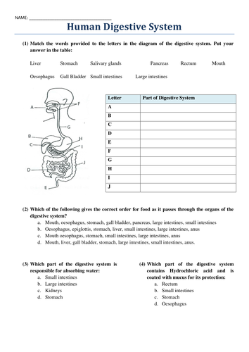 BTEC Applied Science 2016 Unit 8 Aim C, Digestive System -Physiology of ...