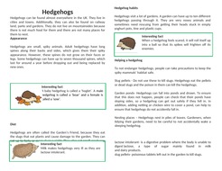 Non-Chronological report (Hedgehog example) and features checklist ...