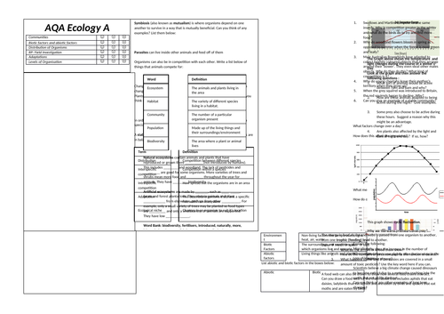 docx, 345.99 KB