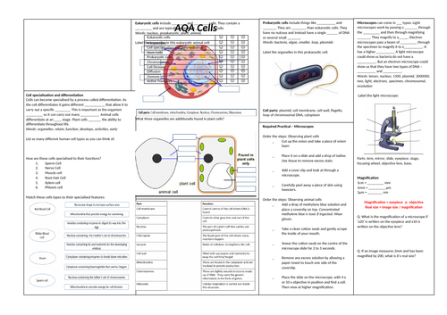 AQA Combined Science Trilogy GCSE - Biology Revision Sheets | Teaching ...