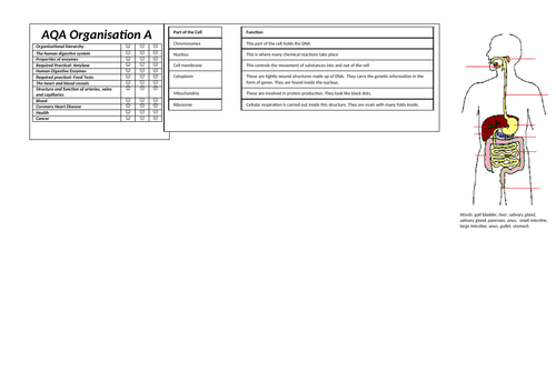 AQA Combined Science Trilogy GCSE - Biology Revision Sheets | Teaching ...