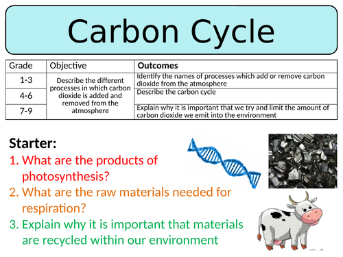 NEW AQA GCSE Trilogy (2016) Biology - The Carbon Cycle
