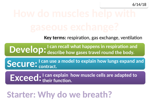 7Ca Muscles and breathing (Exploring Science)