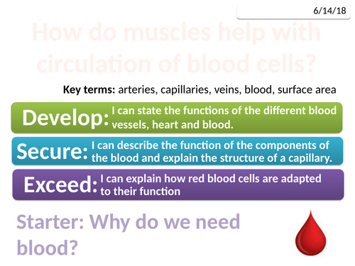7Cb Muscles and bones (Exploring Science)