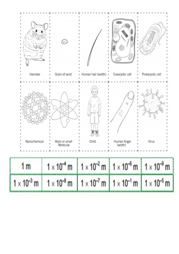 Topic 1 Cell structure-eukaryotes and prokaryotes AQA Trilogy