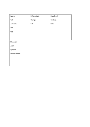 docx, 19.5 KB