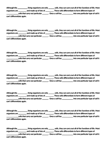 docx, 12.93 KB