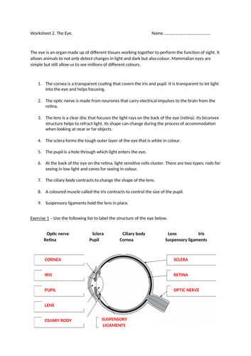GCSE Grade 1 9 Biology Revision Worksheets The Brain The Eye 