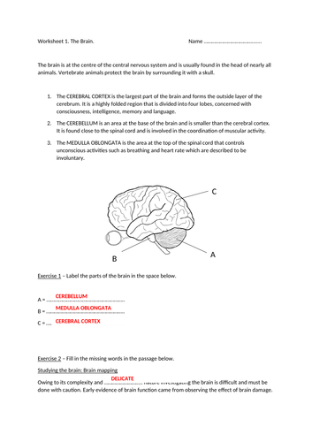 docx, 97.04 KB
