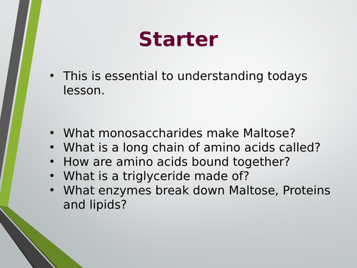 Digestion of carbs, proteins and lipids lesson. A Level Biology, AQA, 7401/7402