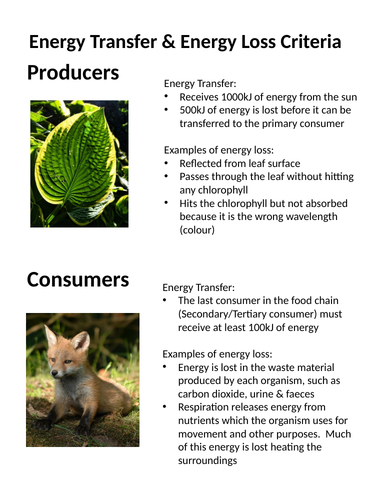 NEW AQA GCSE Trilogy (2016) Biology - Transfers of biomass