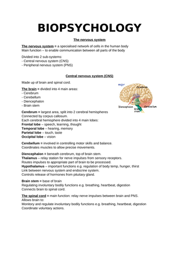 Biopsychology - AQA A-Level Psychology