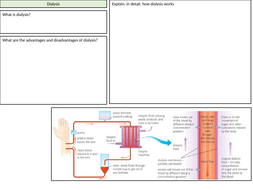 Csuci microbiology picture