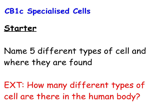 GCSE 9 - 1 Biology Key concepts - CB1c Specialised cells | Teaching ...
