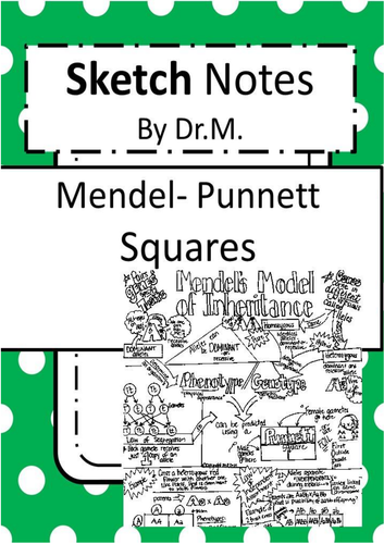 Mendel Punnett Squares Sketch Notes | Teaching Resources