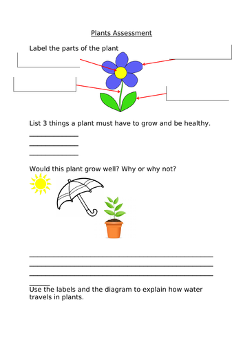 plants-assessment-teaching-resources