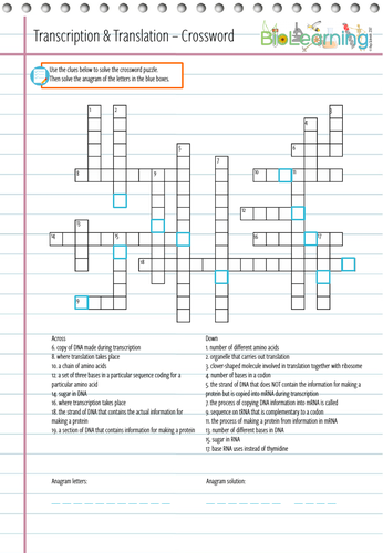 Transcription And Translation Crossword KS4 KS5 Teaching Resources