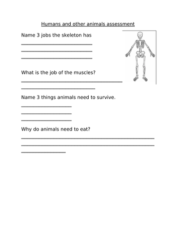 Animals assessment