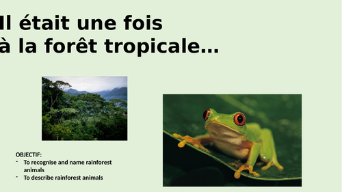 rainforest-sow-french-primary-languages-teaching-resources