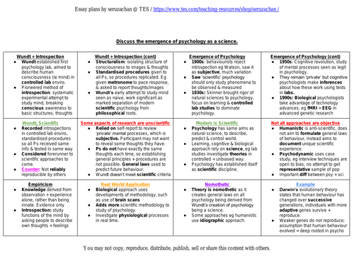 essay plans psychology