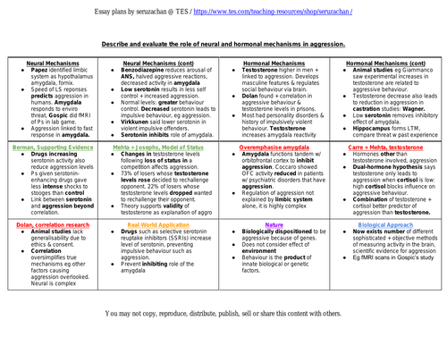 essay plan template psychology