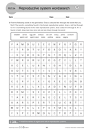 lesson and resources on puberty teaching resources