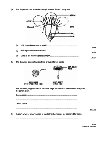 Lesson and resources on plant reproduction | Teaching Resources