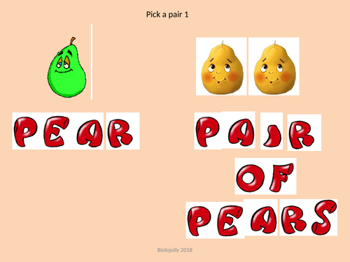 Pick-a-pair science literacy starter/plenary