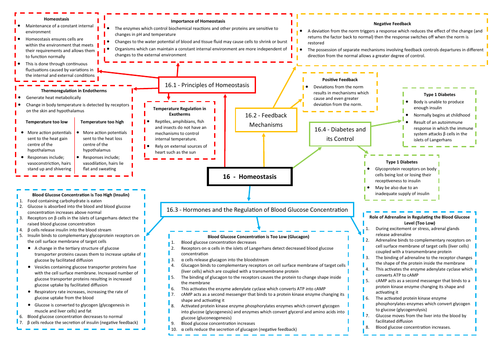 Homeostasis Revision Mind Map - AQA AS/A Level Biology (7401/7402)