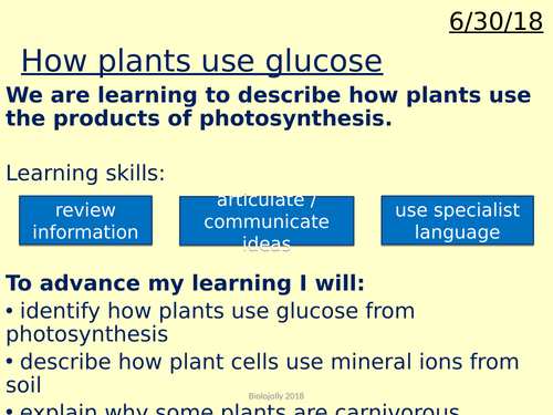 Photosynthesis - how plants use glucose lesson | Teaching Resources