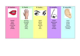 Literacy Word Mat (Differentiated) - 5 Senses - KS2 | Teaching Resources