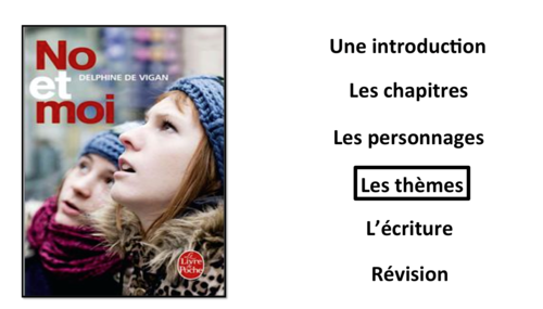 No et moi- Book Study- Themes/ les thèmes- A Level French