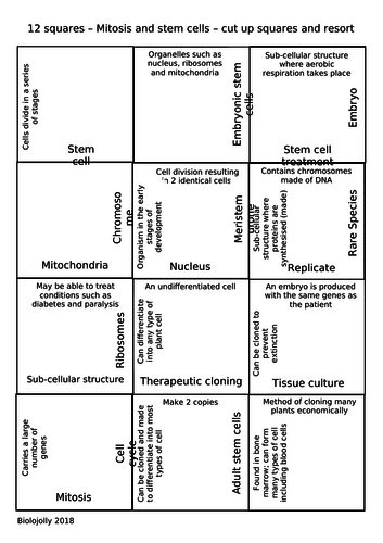 Mitosis and stem cells - cut and resort 12 squares