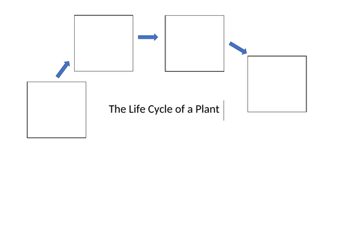 Plant Life Cycle (Pollination, Fertilisation, Germination, Seed ...