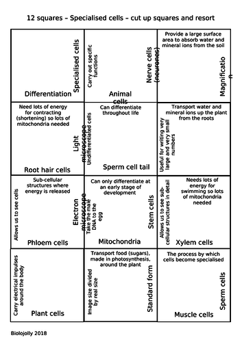 Specialised cells - cut and resort 12 squares