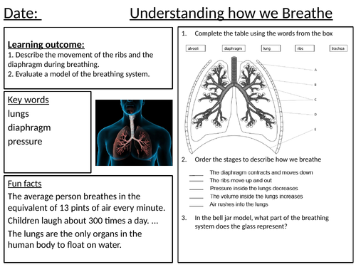 Breathing Worksheets