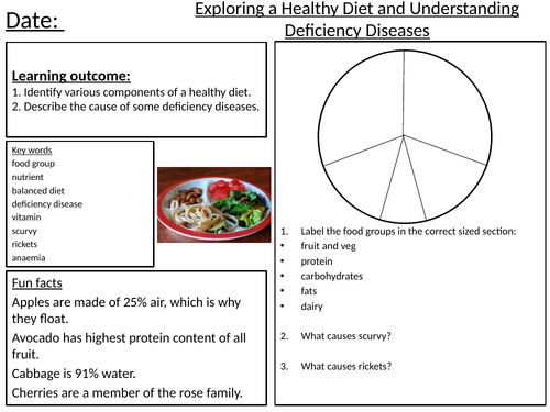 Digestion Worksheets