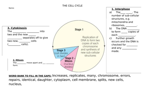 2018 AQA GCSE Biology Unit 1 (B1): Mitosis and the Cell Cycle L4 ...
