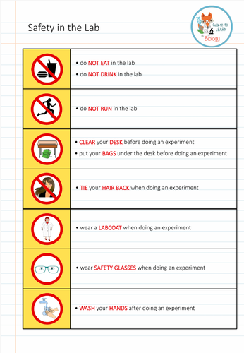 lab safety rules activity pdf