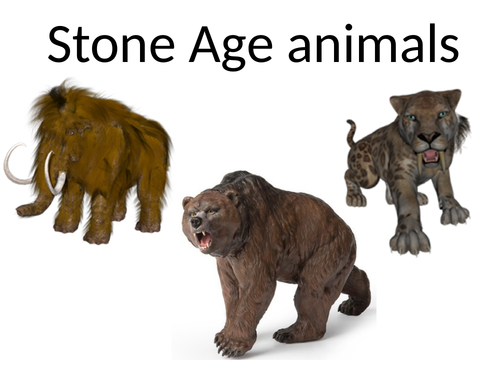 stone-age-teaching-resources