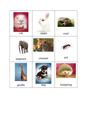 Animal bingo | Teaching Resources