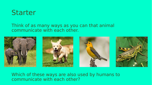 Human vs Animal Communication. AQA Psychology | Teaching Resources