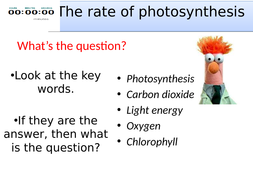 Topic 4 The rate of photosynthesis required practical 6 AQA trilogy ...